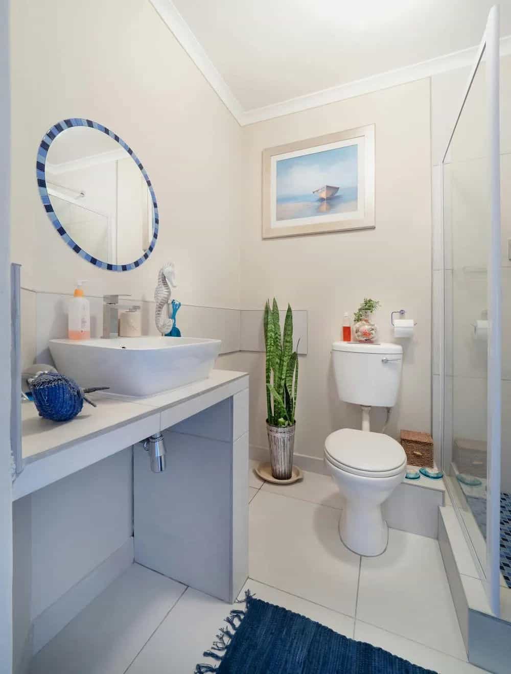 Hero image for Austin REAL CLEAN